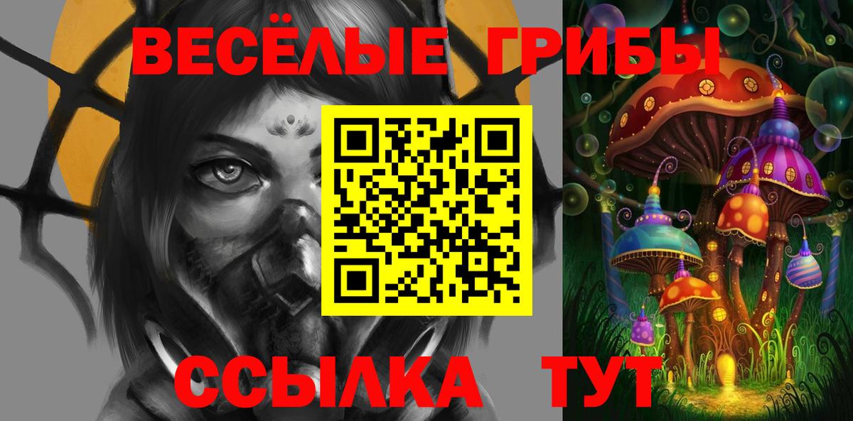 Ишим  Псилоцибиновые грибы GOLDEN TEACHER  Псилоцибиновые грибы MAGIC MUSHROOMS  Вход с VPN 